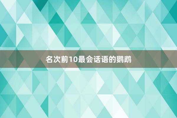 名次前10最会话语的鹦鹉