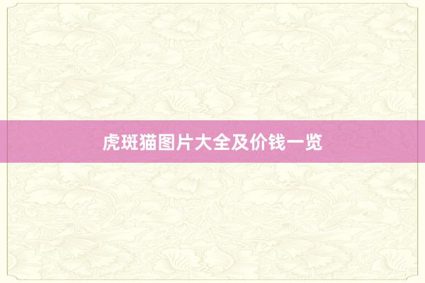 虎斑猫图片大全及价钱一览